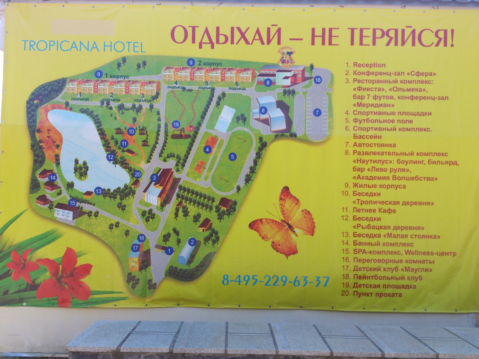 Карта тропиканы Карта тропиканы